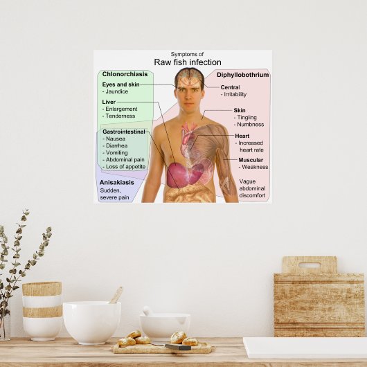 生魚類感染症の症状表 ポスター (キッチン)