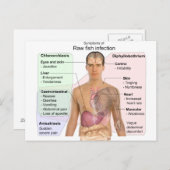 生魚類感染症の症状表 ポストカード (正面/裏面)