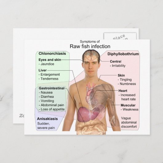 生魚類感染症の症状表 ポストカード (正面/裏面)