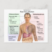 生魚類感染症の症状表 ポストカード (正面)