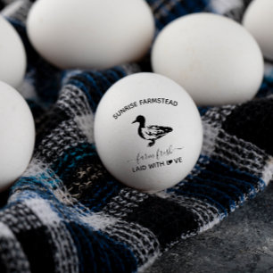 生鴨の卵を飼育する  モノグラムおもしろいの卵スタンプ ラバースタンプ