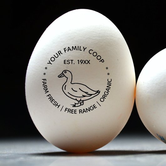 生鴨の卵を飼育する ラバースタンプ