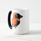 産卵可能な南赤司教 モーフィングマグカップ (正面左)