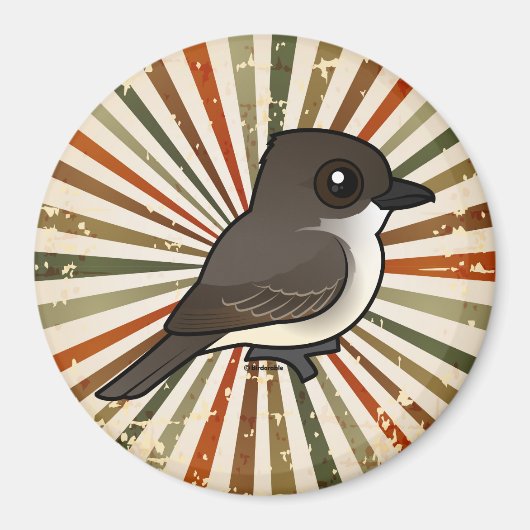 産卵可能な東部フォエベ マグネット (正面)