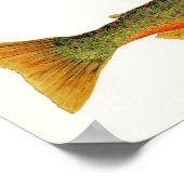 産卵色の北極炭 ポスター (角)