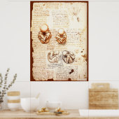 産婦人科胎内の胎児の見解 ポスター (キッチン)