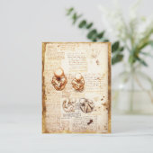 産婦人科胎内の胎児の見解 ポストカード (スタンド正面)