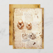 産婦人科胎内の胎児の見解 ポストカード (正面/裏面)