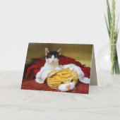 甥(おい)のハッピーバースデー子猫とトイタイガー カード (裏面)