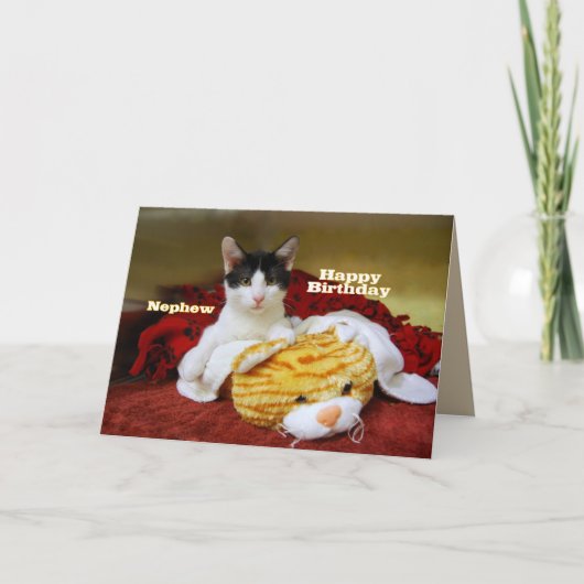 甥(おい)のハッピーバースデー子猫とトイタイガー カード (正面)