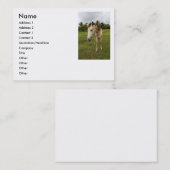 用事、 名刺 (正面/裏面)