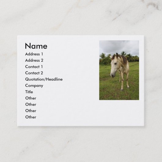 用事、 名刺 (正面)