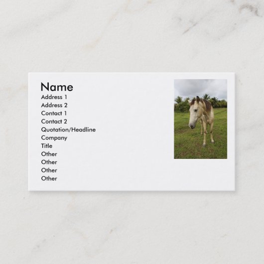 用事 名刺 (正面)