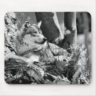 用心深いオオカミ マウスパッド