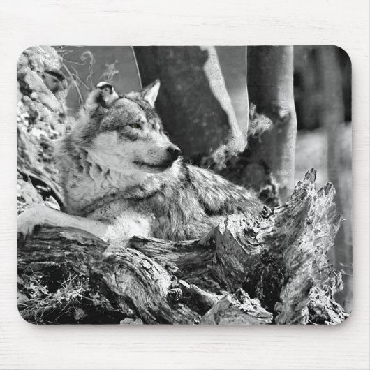 用心深いオオカミ マウスパッド (正面)