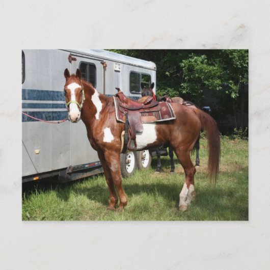 "用意して下さい乗車の" ポストカード (正面)