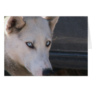 用意しますあります