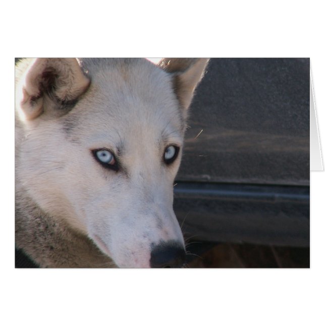 用意しますあります (正面横)