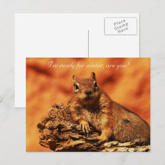 用意はがき ポストカード (正面/裏面)