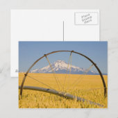 用水路 ポストカード (正面/裏面)