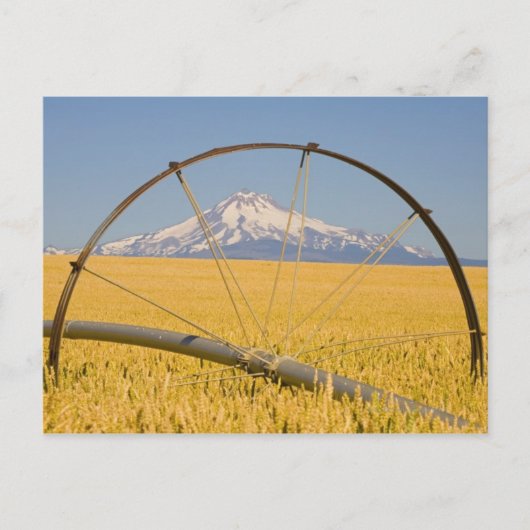 用水路 ポストカード (正面)