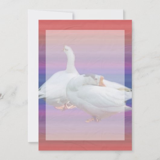 用途を問わない招待状 招待状 (正面)