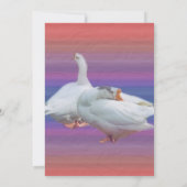 用途を問わない招待状 招待状 (裏面)