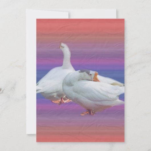 用途を問わない招待状 招待状 (裏面)