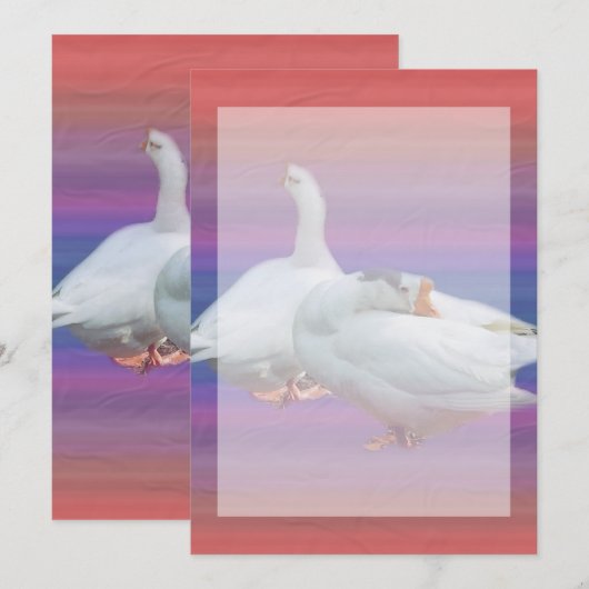 用途を問わない招待状 招待状 (正面/裏面)