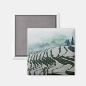 田んぼの上の朝霧 マグネット (正面/裏面)