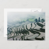 田んぼの朝霧 ポストカード (正面/裏面)
