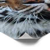 田原3 ポスター (角)