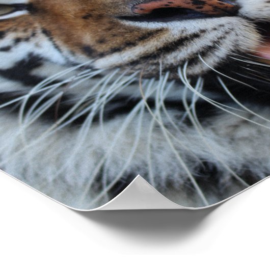 田原3 ポスター (角)