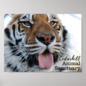 田原3 ポスター (正面)