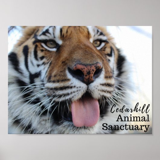 田原3 ポスター (正面)