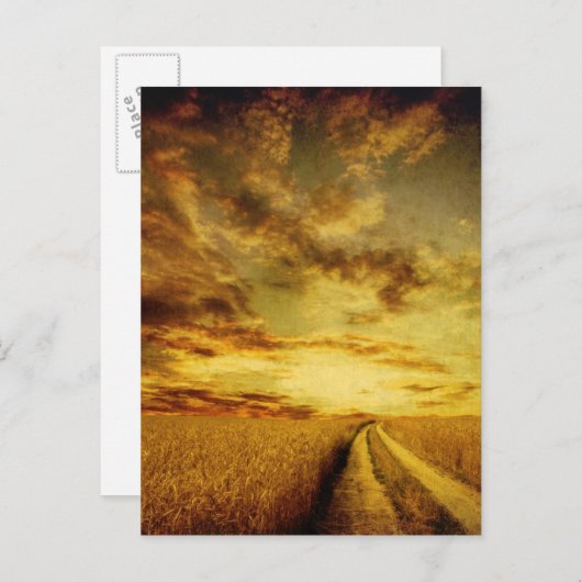 田園の土道を通る道 ポストカード (正面/裏面)