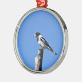 田園オーストラリアのポストの肉屋の鳥 メタルオーナメント (左)