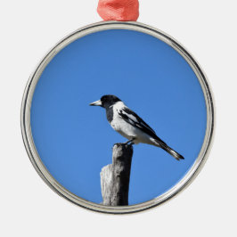 田園オーストラリアのポストの肉屋の鳥 メタルオーナメント