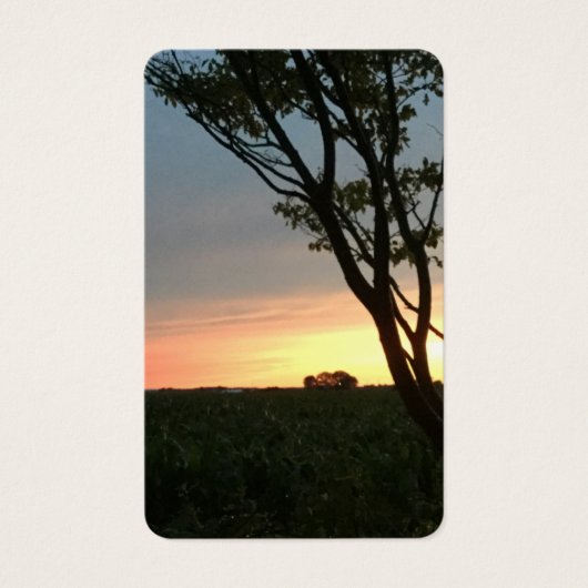 田園地帯の夕日 (正面)