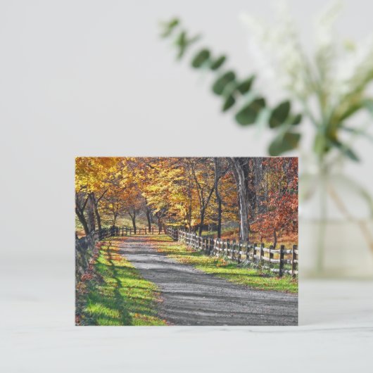 田園秋 ポストカード (スタンド正面)