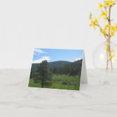 田園Taos、ニューメキシコ カード (黄色い花)