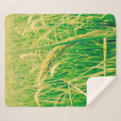 田畑と新鮮なヴィンテージ シェルパブランケット (正面(横))