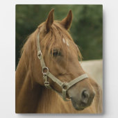 田畑に栗の馬 フォトプラーク (正面)