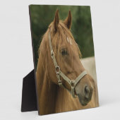 田畑に栗の馬 フォトプラーク (側面)