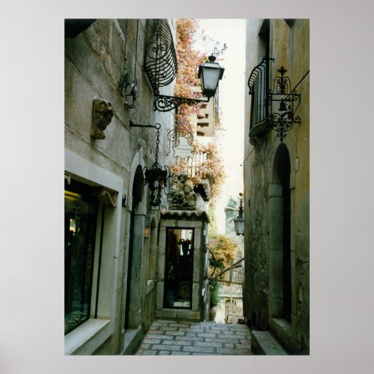 田織名 ポスター (正面)