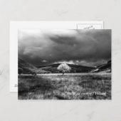 田舎の木 ポストカード (正面/裏面)