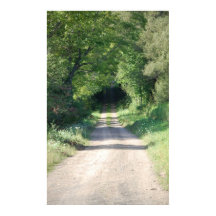 田舎の森林の道や土の道