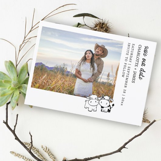 田舎の牛をテーマモーにした話だ セーブザデート