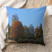 田舎の秋の日…... クッション (ブランケット)