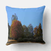 田舎の秋の日…... クッション (裏面)